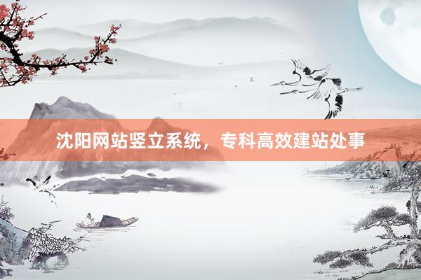 沈阳网站竖立系统，专科高效建站处事