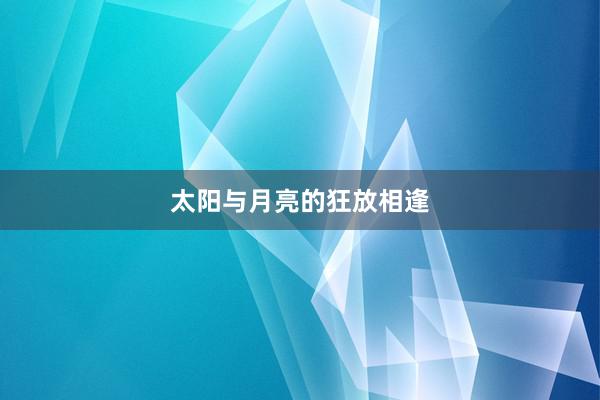 太阳与月亮的狂放相逢