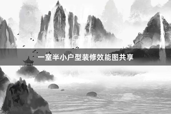一室半小户型装修效能图共享