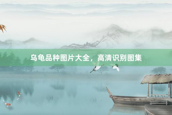 乌龟品种图片大全，高清识别图集